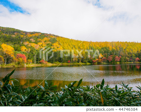 Yatsugatake mountain in autumn 44746384