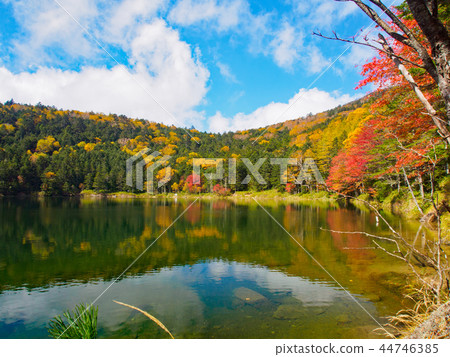 Fall twin pond in autumn 44746385