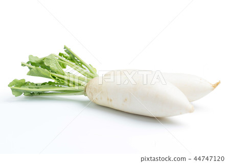 daikon radishes isolated on white 44747120