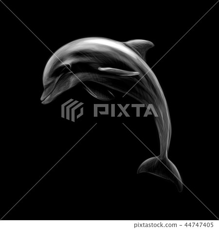 Dolphin on a black background, hand drawn Dolphin on a black background, hand drawn 44747405