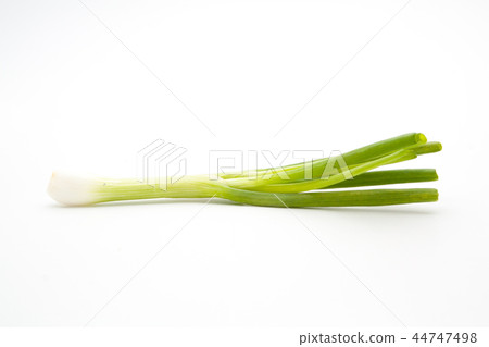 green onion isolated green onion isolated 44747498