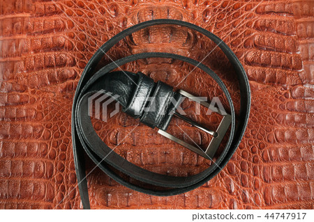 Black belt, lying on a brown crocodile skin. Black belt, lying on a brown crocodile skin. 44747917