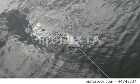 Dirty plastic bag floating in clean water Dirty plastic bag floating in clean water 44748534