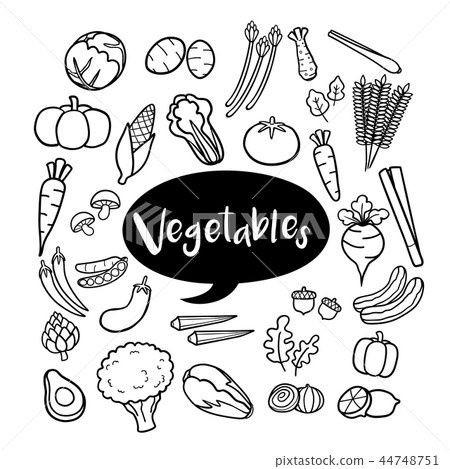 Set of vegetable elements in hand drawn doodles Set of vegetable elements in hand drawn doodles 44748751