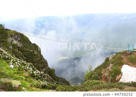 Photo of beautiful mountains 44750252