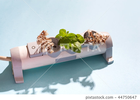 Power Strip Garden and eco electric plug on the blue background. A conceptual photo based on sources 44750647