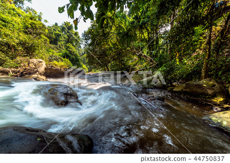 Waterfall at Doi Inthanon Chiang Mai Thailand Waterfall at Doi Inthanon Chiang Mai Thailand 44750837