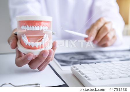 Dentist hand holding of jaw model of teeth and cleaning dental w Dentist hand holding of jaw model of teeth and cleaning dental w 44751288