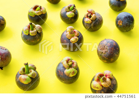Mangostin tropical fruit on yellow antioxidant top 44751561