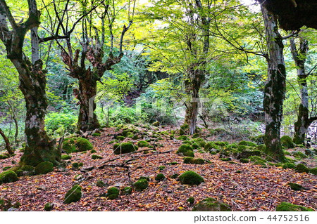 Autumn landscape in the mountains of Azerbaijan 44752516