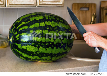 Human hand with a knife cuts watermelon in halves Human hand with a knife cuts watermelon in halves 44752543