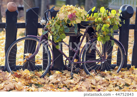 Old wooden fence and bike with fresh flowers among fallen autumn leaves, Atmospheric landscape Old wooden fence and bike with fresh flowers among fallen autumn leaves, Atmospheric landscape 44752843