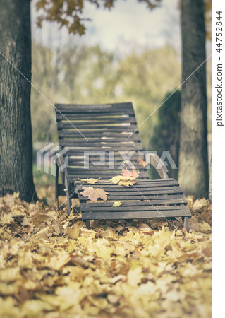 Old wooden chaise lounge among fallen autumn leaves. Atmospheric landscape, relax, nostalgia concept Old wooden chaise lounge among fallen autumn leaves. Atmospheric landscape, relax, nostalgia concept 44752844