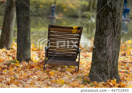 Old wooden chaise longue among fallen autumn leaves on the shore near the water. Atmospheric vintage Old wooden chaise longue among fallen autumn leaves on the shore near the water. Atmospheric vintage 44752845