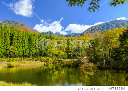 Tennoike in the fall Tennoike in the fall 44753264