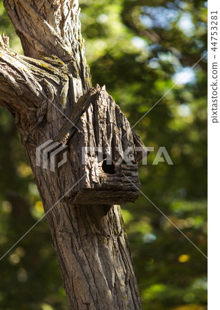 An old hand-made birdhouse on a tree 44753281