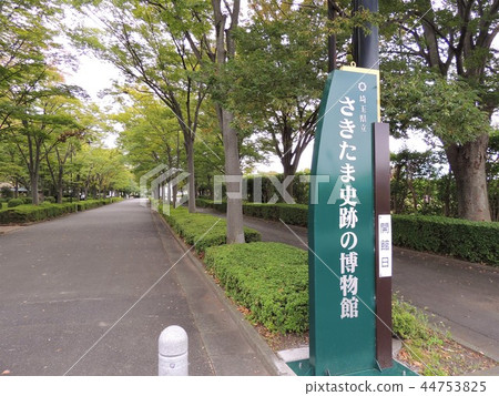 Sakitama Kofun Park 44753825