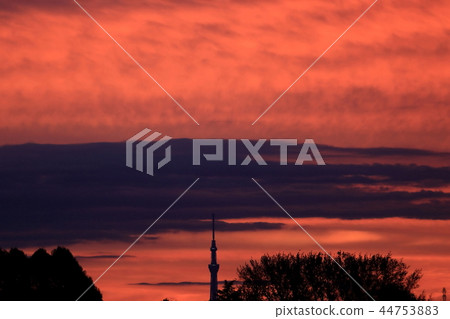 早晨煥發天空樹 早晨煥發天空樹 44753883