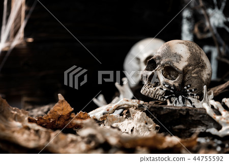 Happy Halloween concept. Trick or treat in autumn 44755592