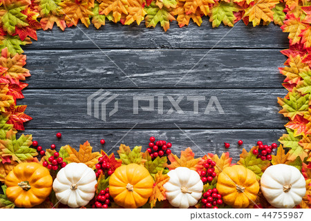 Top view of Autumn maple leaves with Pumpkin Top view of Autumn maple leaves with Pumpkin 44755987