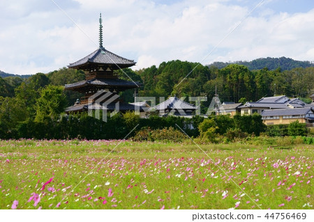 日本的Heart-Nara秋天Hokiji寺廟 44756469