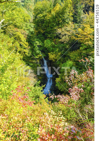Fall snake waterfall (vertical) 44756519
