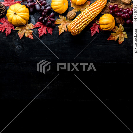 Thanksgiving background with fruit and vegetable Thanksgiving background with fruit and vegetable 44756783