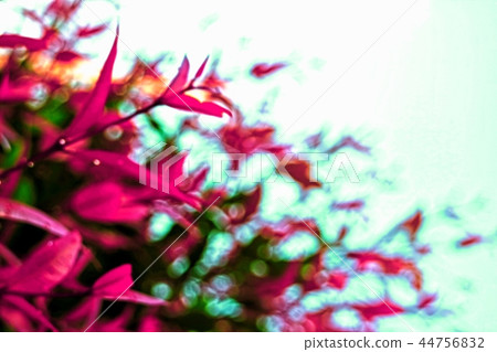 Scenic blurry blossoms in close up style so beauty 44756832