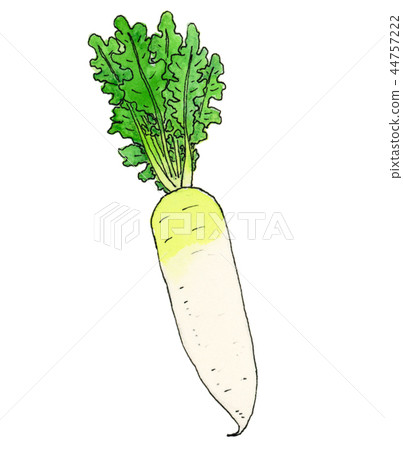 Daikon 2 44757222