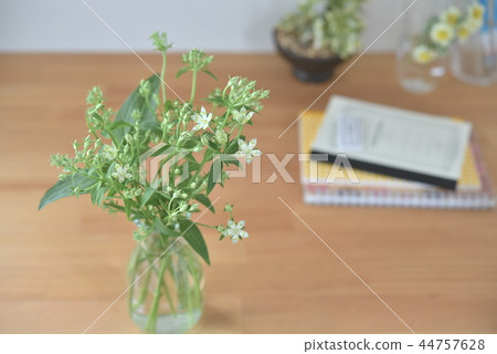 花瓶之花 44757628