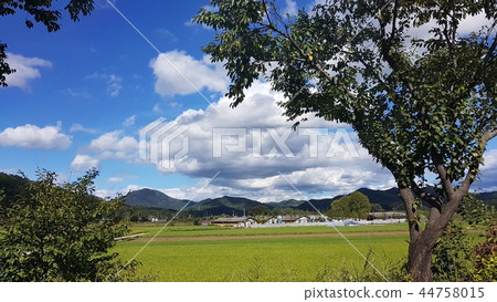 秋天在雲彩流動。 44758015