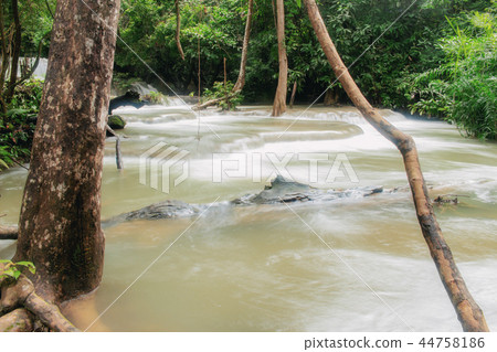 Waterfall and tree in forest. 44758186