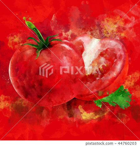 Tomato on red background. Watercolor illustration 44760203