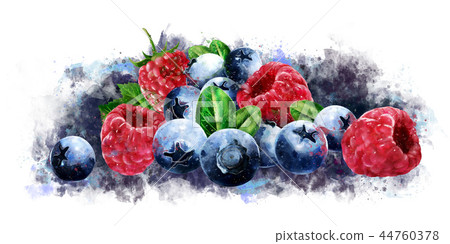 Raspberries, cranberries and blueberries on white background. Watercolor illustration 44760378