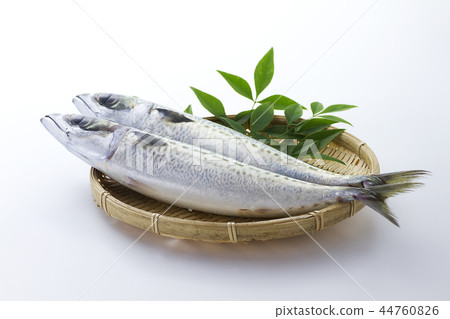Mackerel 1 Mackerel 1 44760826