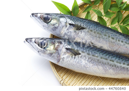 鯖魚7 鯖魚7 44760840