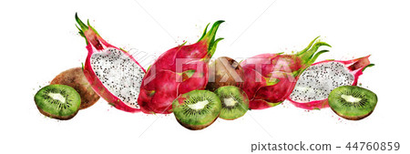 Dragon fruit and kiwi on white background. Watercolor illustration 44760859