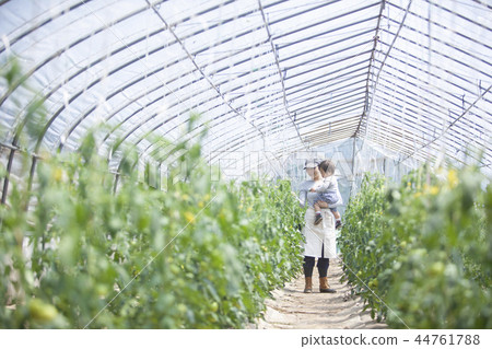 Family parent and child Family parent and child 44761788