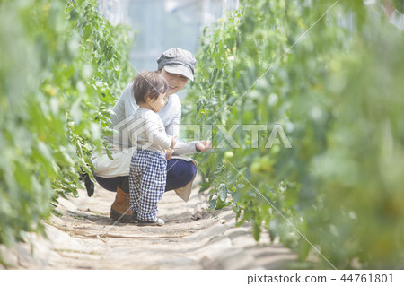 Family parent and child Family parent and child 44761801