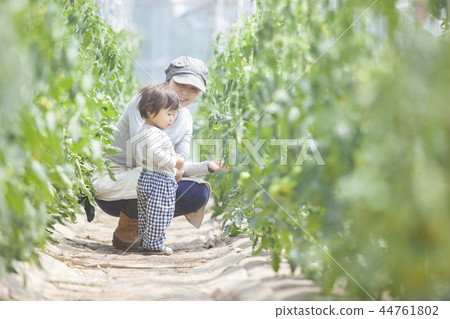 Family parent and child 44761802