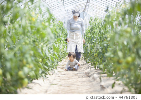 Family parent and child Family parent and child 44761803