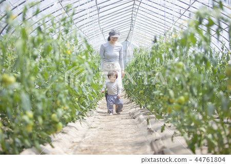 Family parent and child 44761804