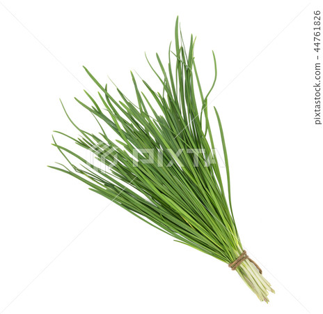 garlic chive isolated on white background,top view 44761826