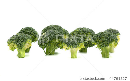 broccoli isolated on white background 44761827