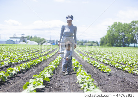 Parent and child working in field work Parent and child working in field work 44762925