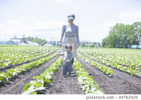 父母和孩子在野外工作 44762926