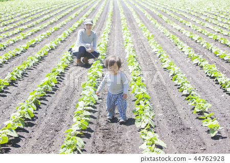 Parent and child working in field work 44762928