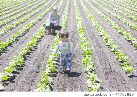 Parent and child working in field work 44762929