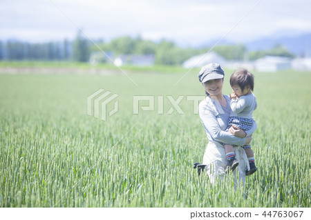 Parent and child of the field 44763067
