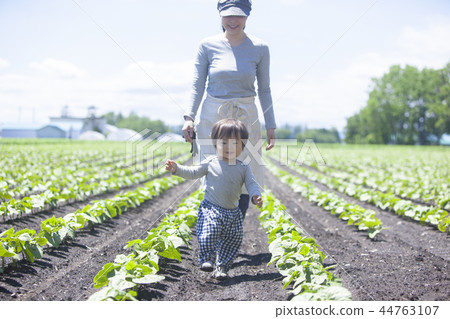 該領域的父母和孩子 44763107